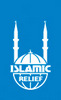 IR Logo